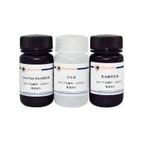 髓鞘染色试剂盒(Luxol Fast Blue-焦油紫法)