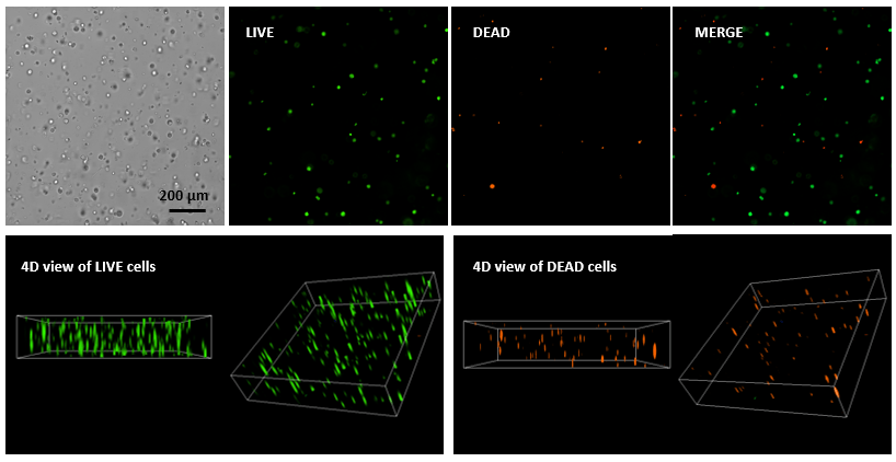 产品细节图片20