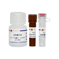 Beyo3D™细胞膜红色荧光染色试剂盒(DiI)