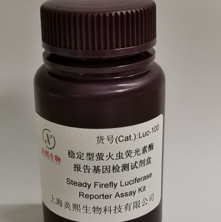 稳定型萤火虫荧光素酶报告基因检测试剂盒