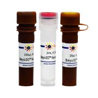 Beyo3D™ Annexin V-EGFP细胞凋亡检测试剂盒