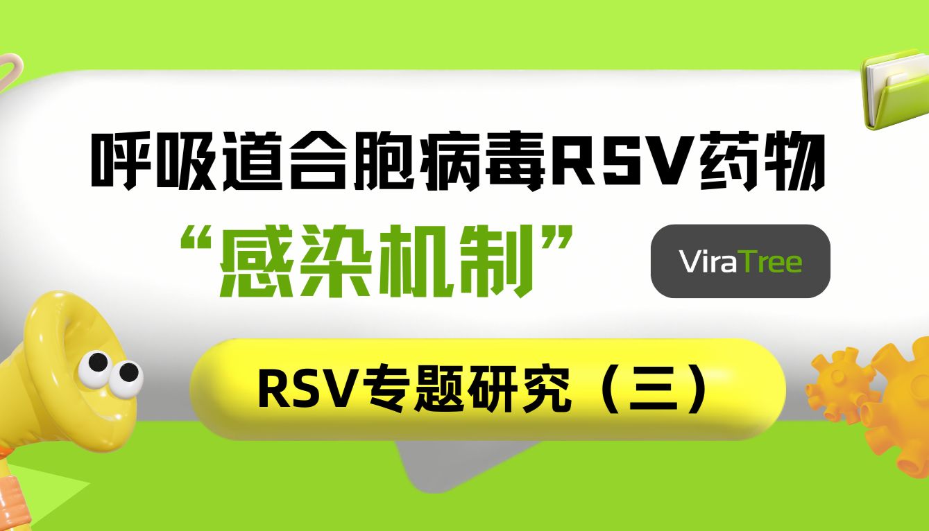 RSV专题（三）| 呼吸道合胞病毒RSV的感染机制