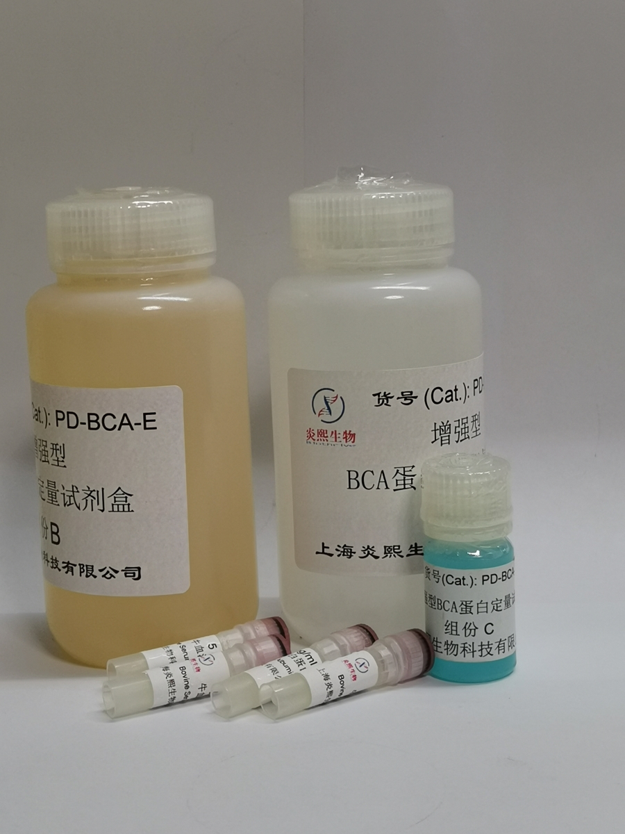 增强型BCA蛋白定量试剂盒
