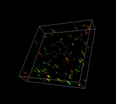 产品细节图片22