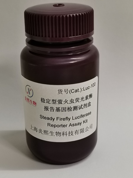 稳定型萤火虫荧光素酶报告基因检测试剂盒