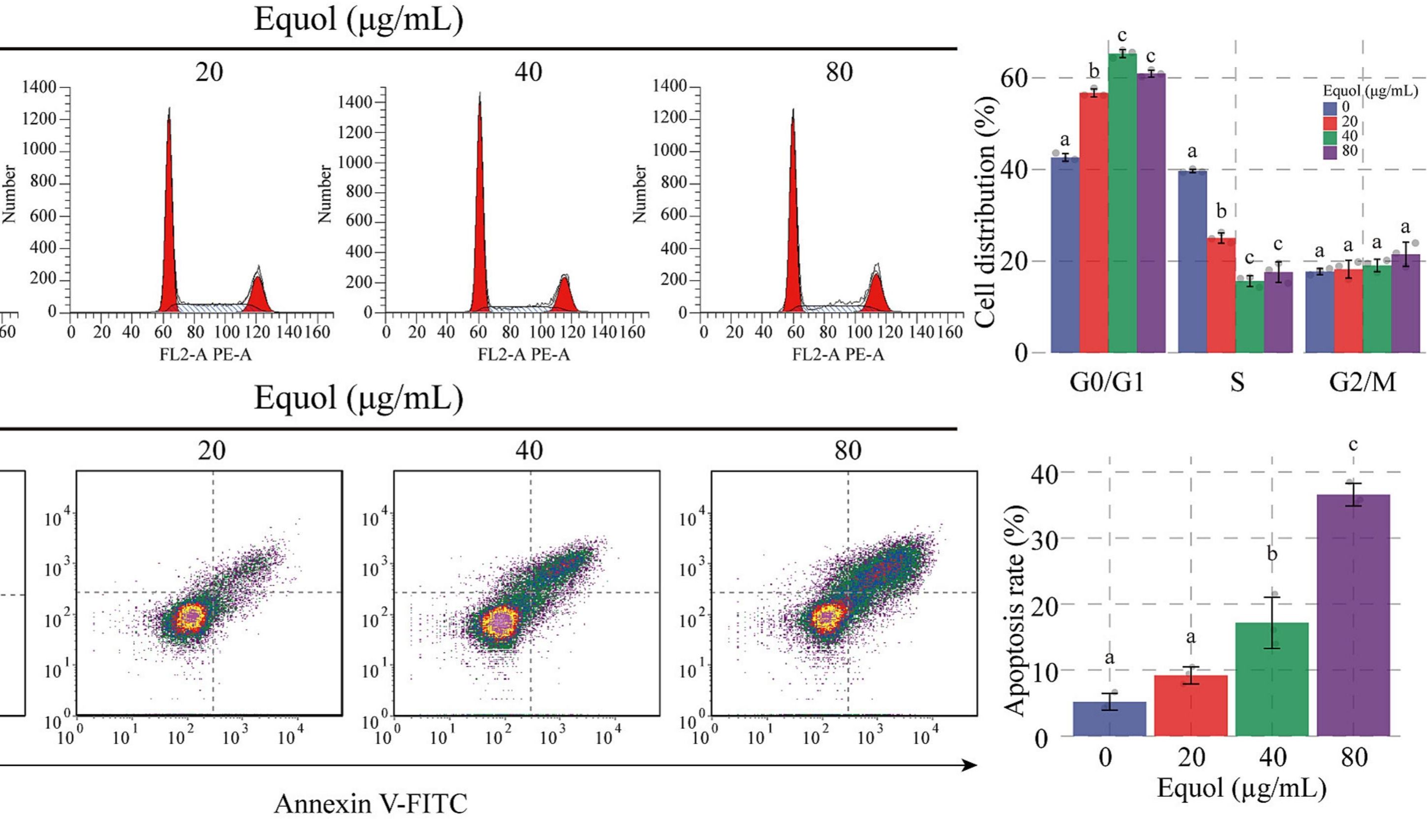 IF:7.7，天然产物+网络药理学+转录组+下游实验，揭示了雌马酚治疗结直肠癌的机制！