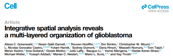 Cell文章：空间多组学技术助力胶质瘤细胞的空间构成解析