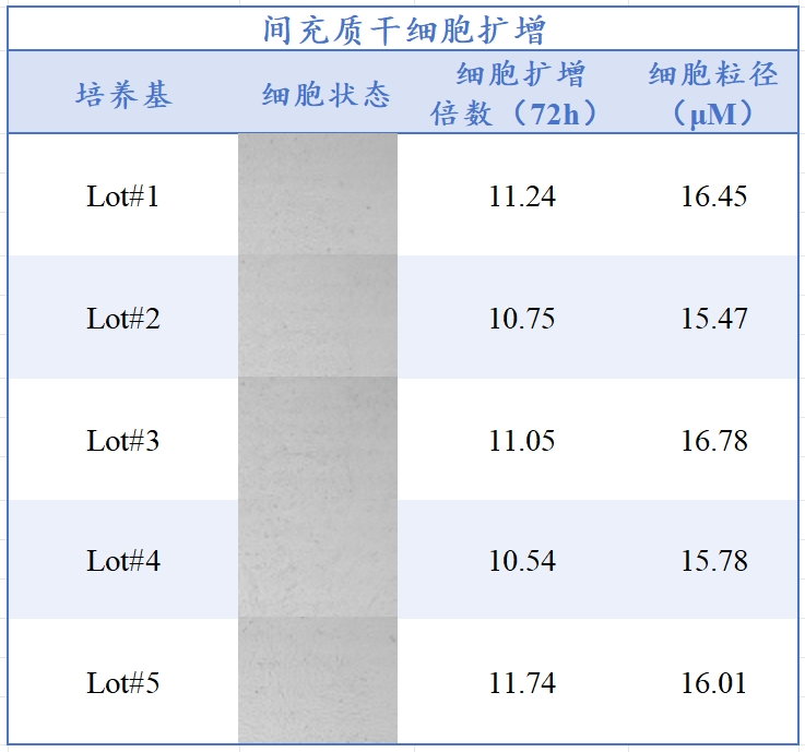 同立海源生物MSC无血清培养工艺定制化服务