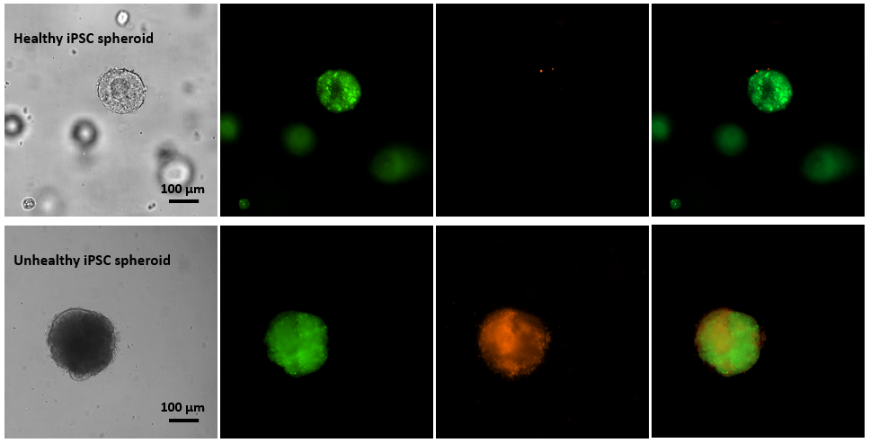 产品细节图片23
