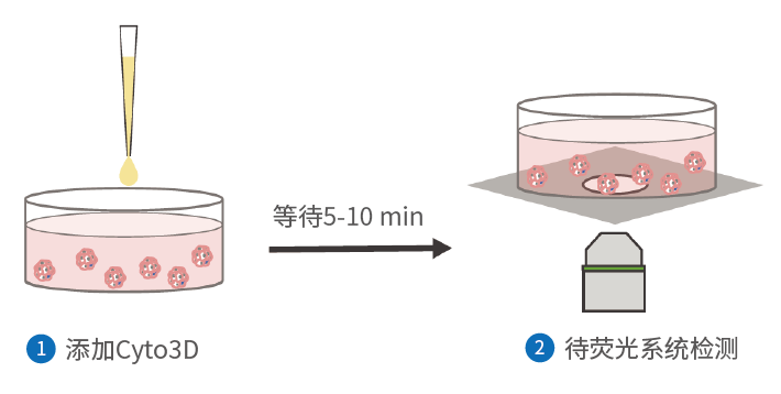 产品细节图片19