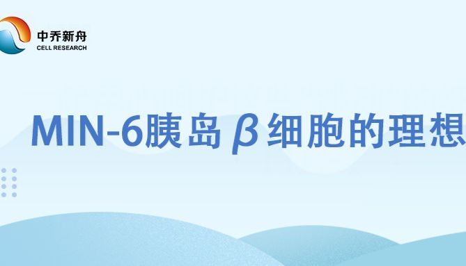 MIN-6胰岛β细胞的理想替代！
