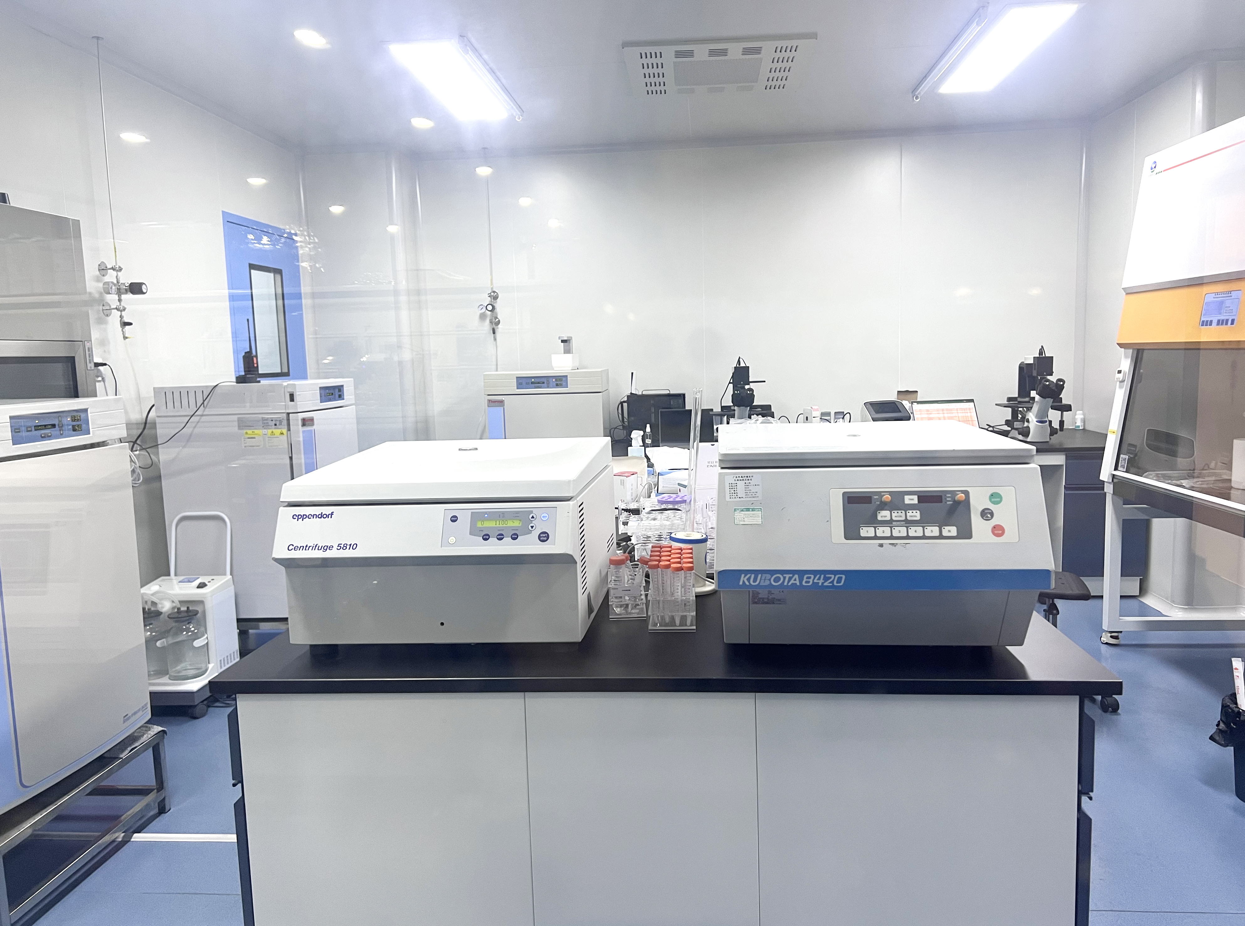 elisa试剂盒公司