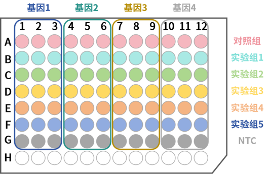 纯干货!显色示踪荧光定量相对定量操作解析