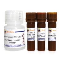 Beyo3D™线粒体膜电位与细胞凋亡检测试剂盒