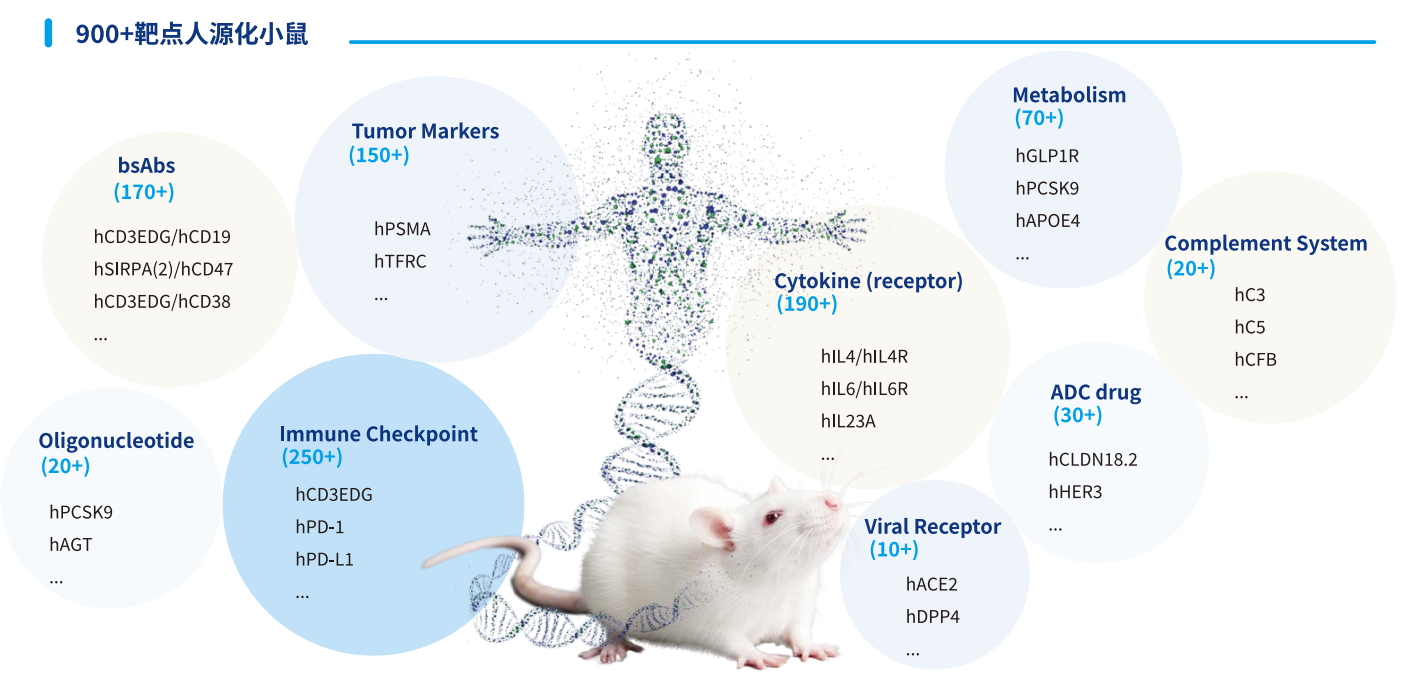 会议邀约 | 南模生物邀您相约BIOCHINA 2025易贸大会