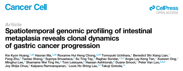 IF 50.3 | 单细胞+空间组学技术助力胃癌研究