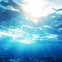海水中维生素B12的测定