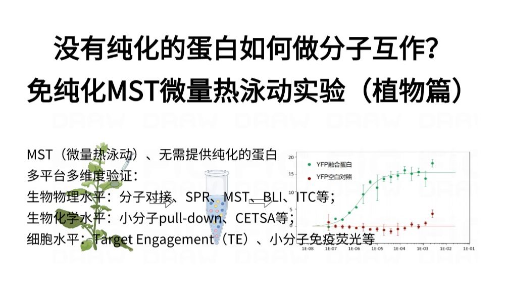 没有纯化的蛋白如何做分子互作？免纯化MST微量热泳动实验（植物篇）