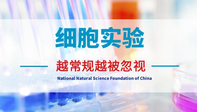 国自然申请在即！你的实验设计思路真的无懈可击吗？最后9天紧急复核，别让这个小漏洞拖了后腿！