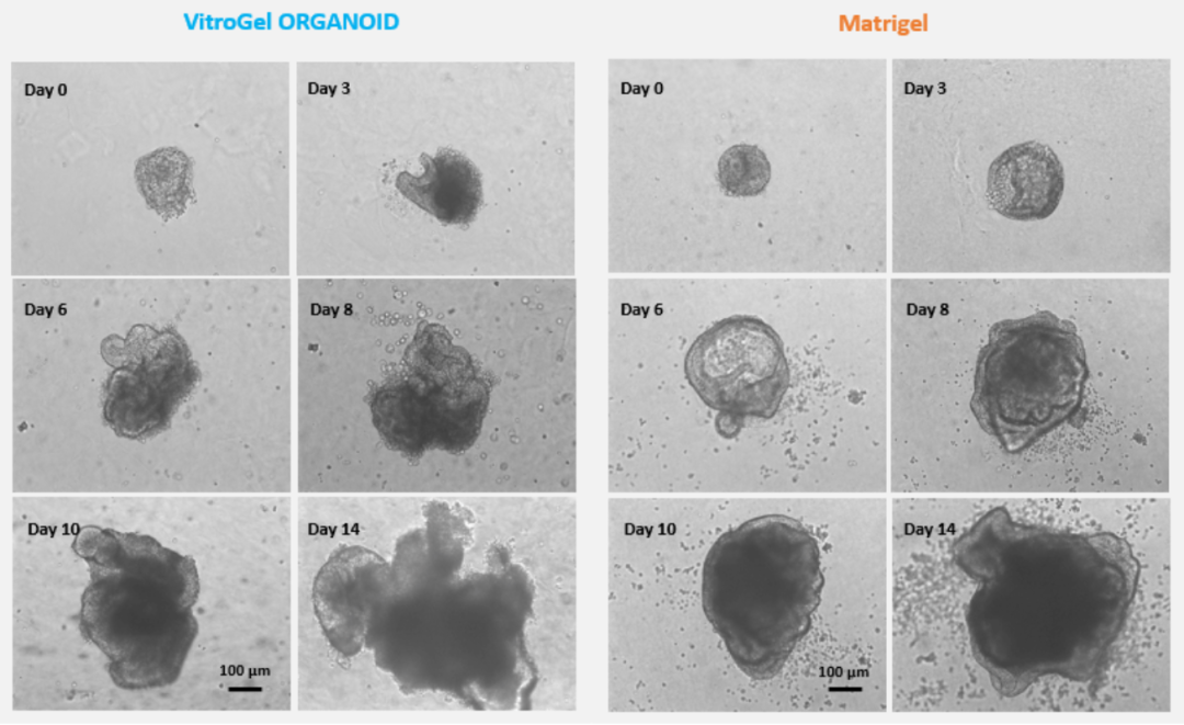 产品细节图片35