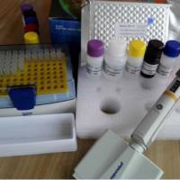 猴核糖核酸酶H(RNASEH)酶联免疫ELISA试剂盒