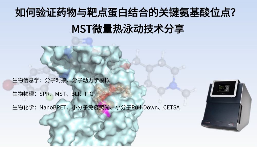 如何验证药物与靶点蛋白结合的关键氨基酸位点？MST微量热泳动技术分享