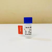 500μg 犬血红蛋白（HB）单克隆抗体；犬红细胞抗体；犬HB抗体；犬血红蛋白单克隆抗体