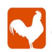 Anti-Growth-Associated Protein-43 (GAP-43) Antibody