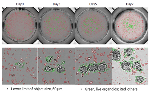 产品细节图片40