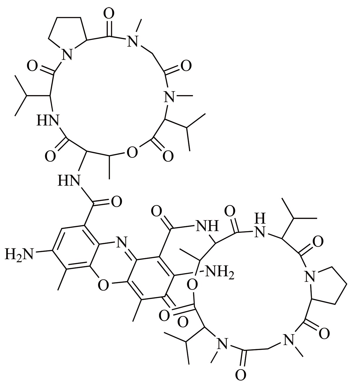 7-AAD(7-氨基放线菌-素D)