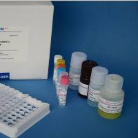 粪便隐血定性检测试剂盒(邻联甲苯胺-匹拉米洞法)