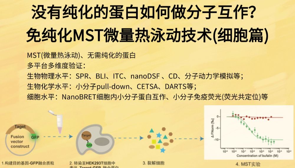 没有纯化的蛋白如何做分子互作？免纯化MST微量热泳动技术(细胞篇)
