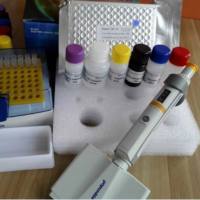 兔C-反应蛋白(CRP)酶联免疫ELISA试剂盒