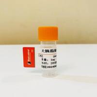 500μg 犬胰脂肪酶单克隆抗体；犬胰脂肪酶抗体；犬cPL抗体