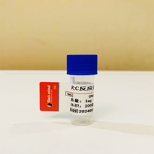 500μg 抗犬CRP单克隆抗体；犬C反应蛋白配对抗体；犬C