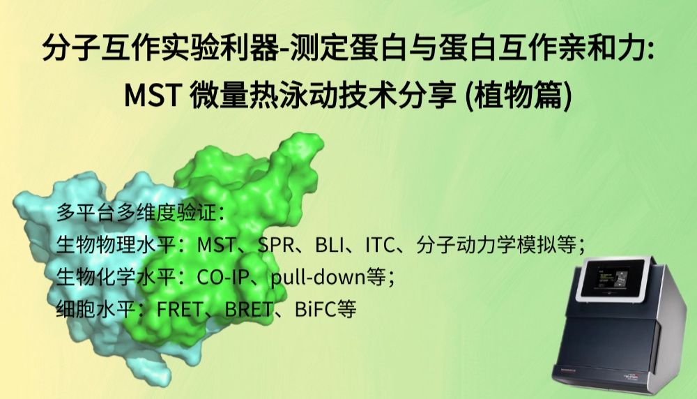 分子互作实验利器-测定蛋白与蛋白互作亲和力: MST 微量热泳动技术分享 (植物篇)