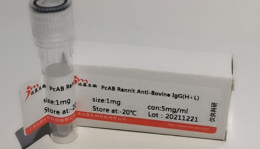 单克隆抗体技术原理以及制备过程