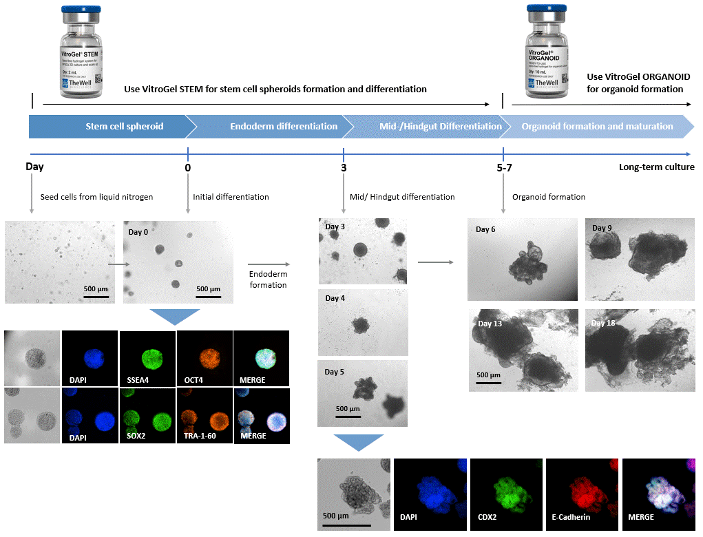产品细节图片36