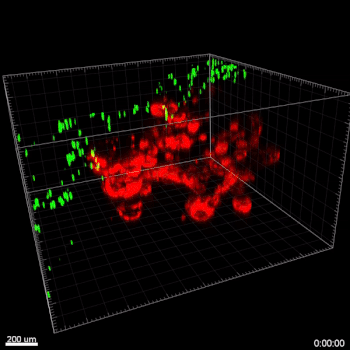 产品细节图片41