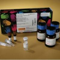 In-Gel Tryptic Digestion Kit/胰蛋白酶酶切试剂盒