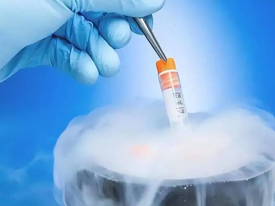 开学季必备技能：解锁细胞复苏与冻存的核心秘籍，助你实验无忧！