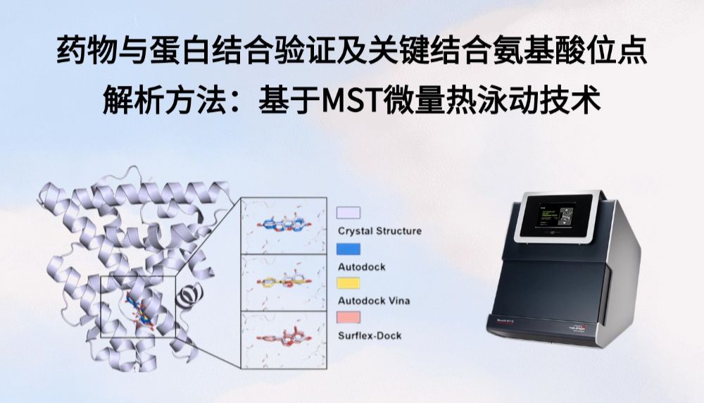 药物与蛋白结合验证及关键结合氨基酸位点解析方法：基于MST微量热泳动
