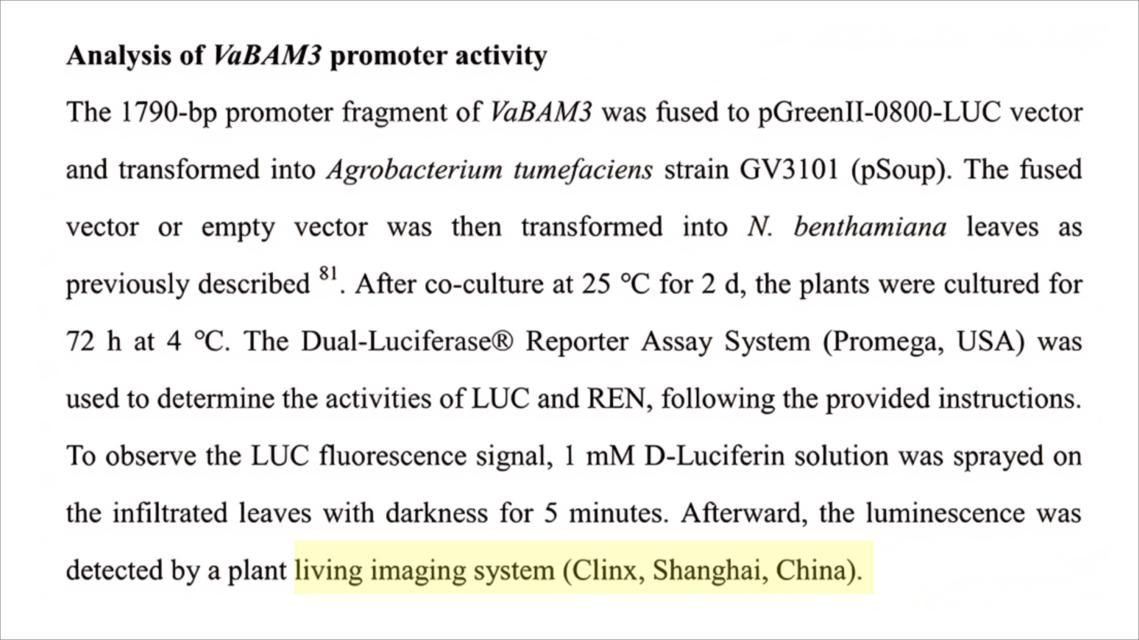 文献速递| VaWRKY65通过调控淀粉分解促进植物耐寒性