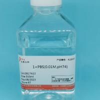 PBS缓冲液(10mM,pH7.2-7.4)