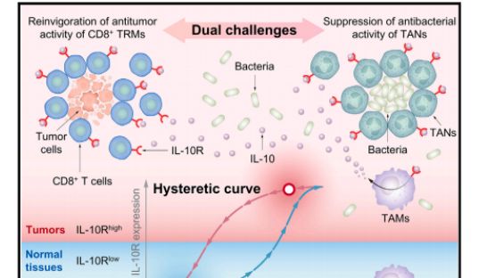Cell |抗癌新希望：科学家破解细菌与肿瘤的“对话”原理