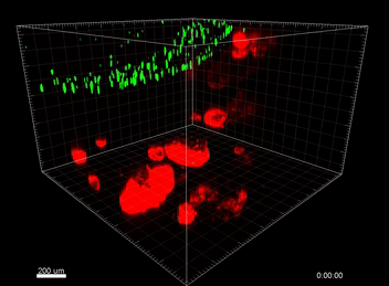 产品细节图片42