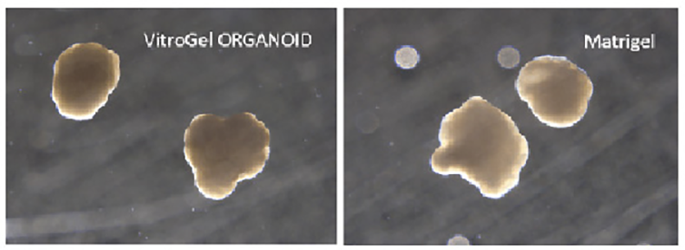 产品细节图片39