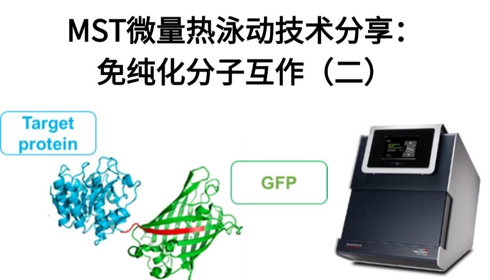 MST微量热泳动技术分享：免纯化分子互作（二）