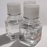 无酶水(Nuclease-free Water)