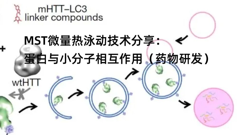 MST微量热泳动技术分享：蛋白与小分子相互作用（药物研发）